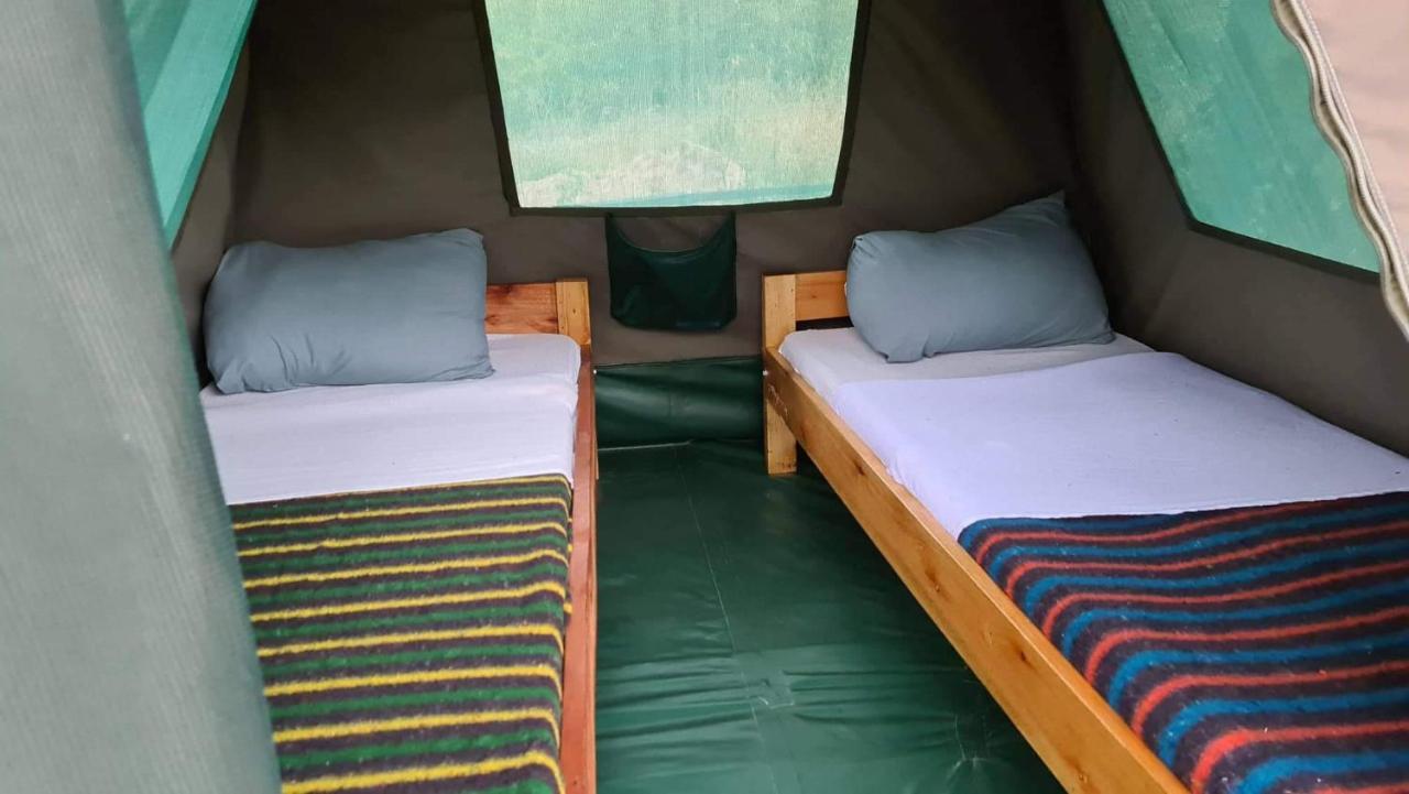 Greenwood Safari Camp Talek Eksteriør bilde