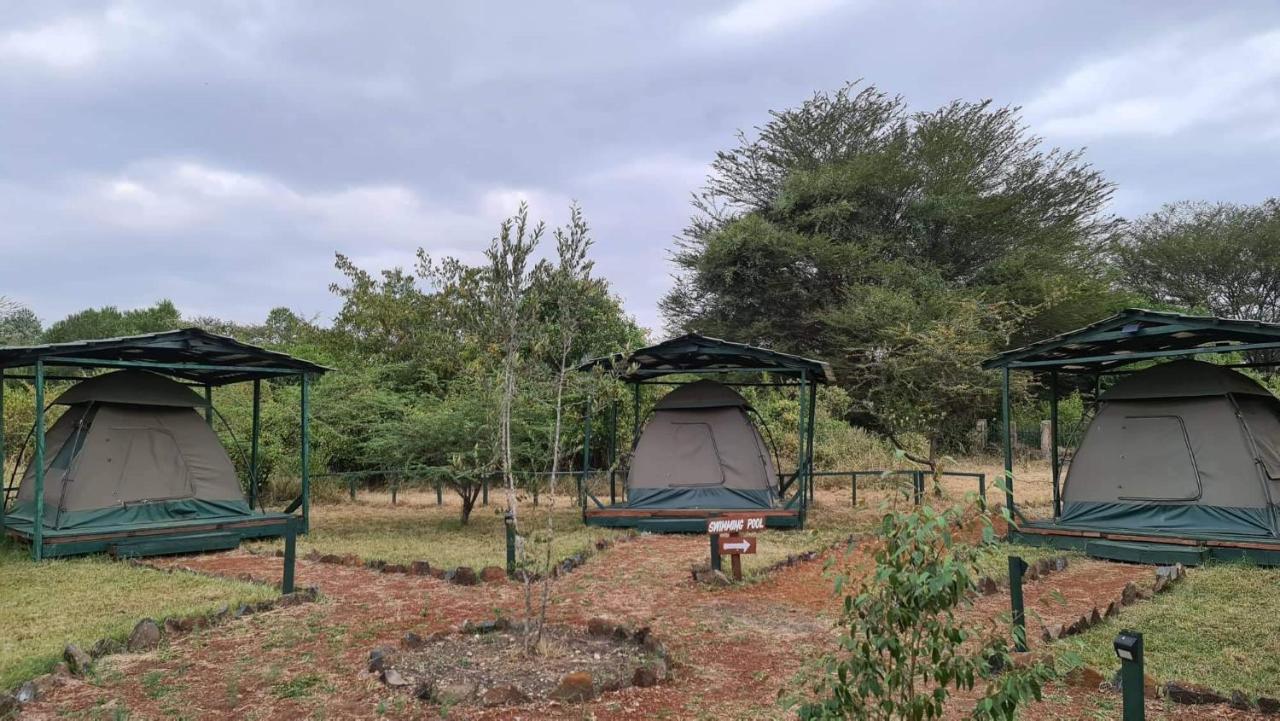 Greenwood Safari Camp Talek Eksteriør bilde