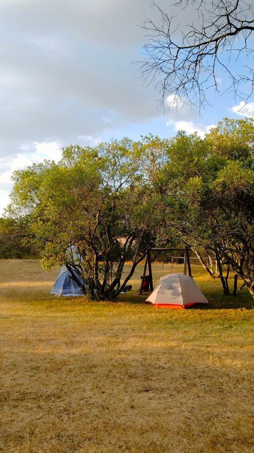 Greenwood Safari Camp Talek Eksteriør bilde