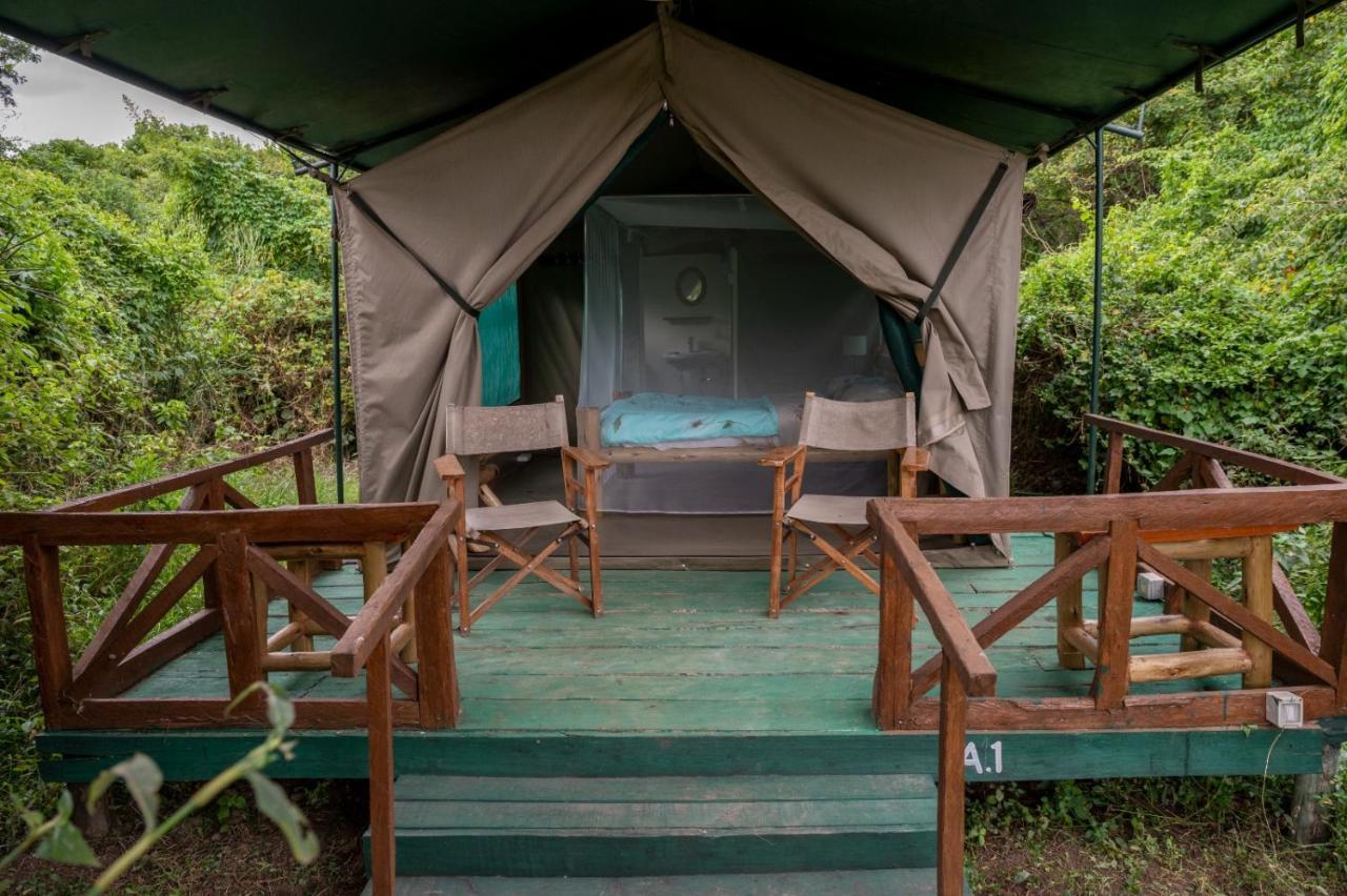Greenwood Safari Camp Talek Eksteriør bilde